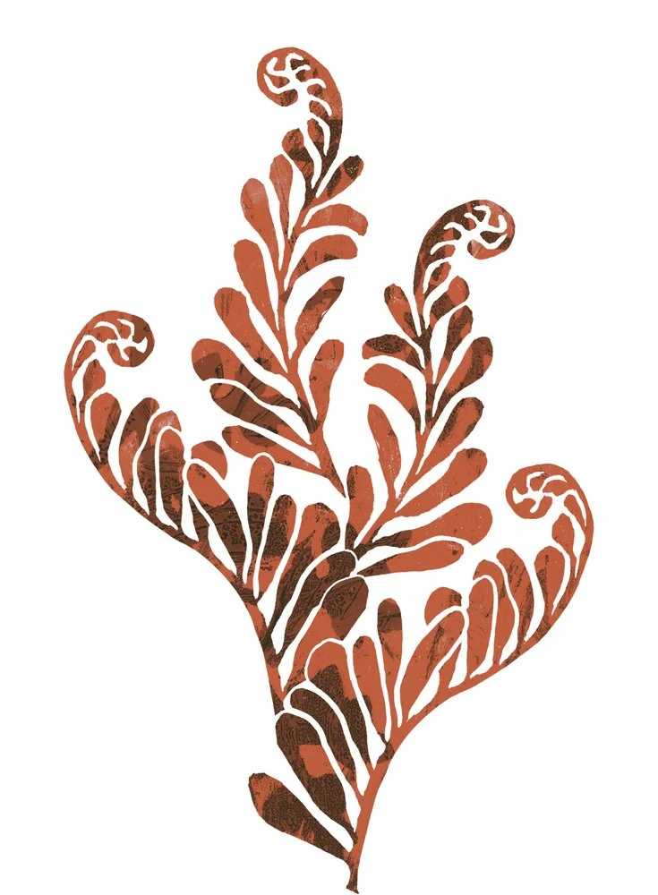 Earthy Botanical Ferns