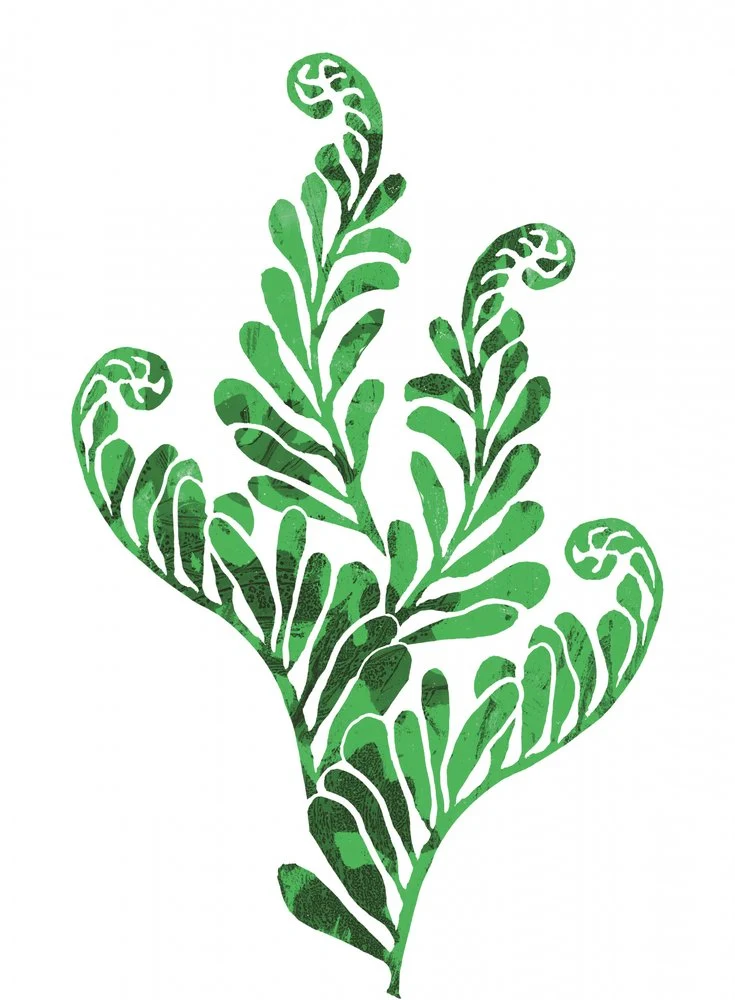 Vibrant Fern Foliage