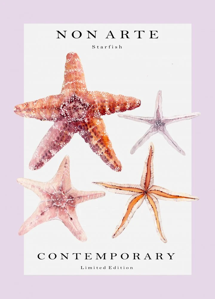 Assorted Sea Stars