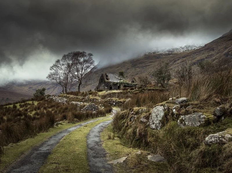 Misty Mountain Cottage