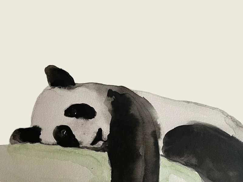 Peaceful Panda Nap