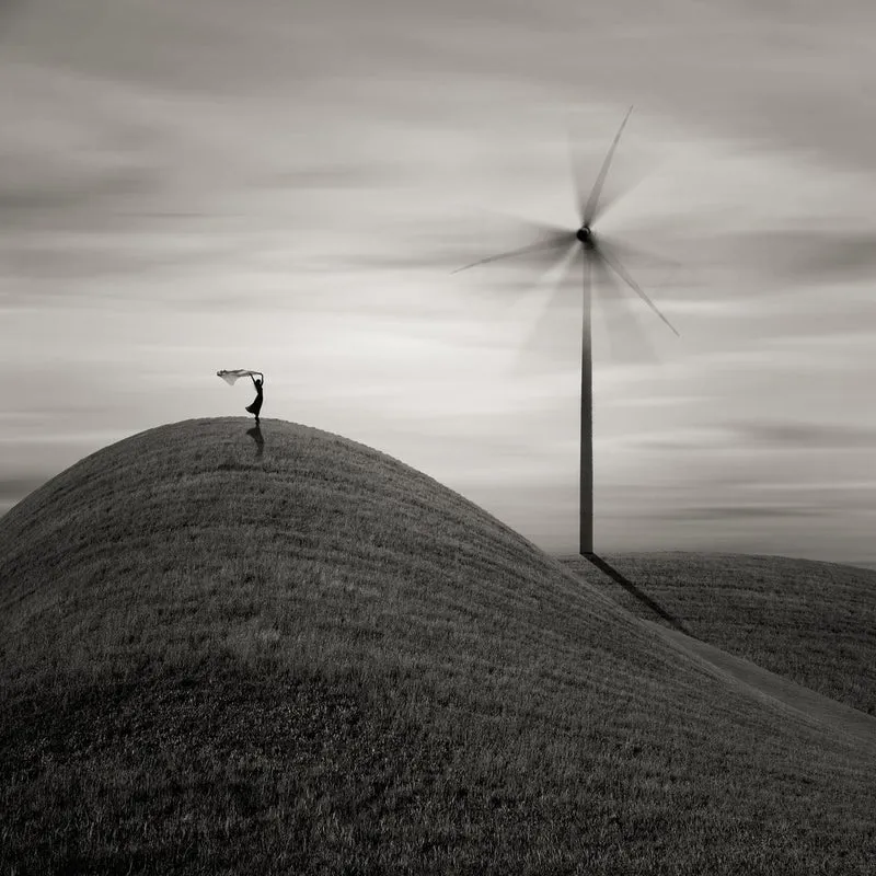 Graceful Wind Landscape