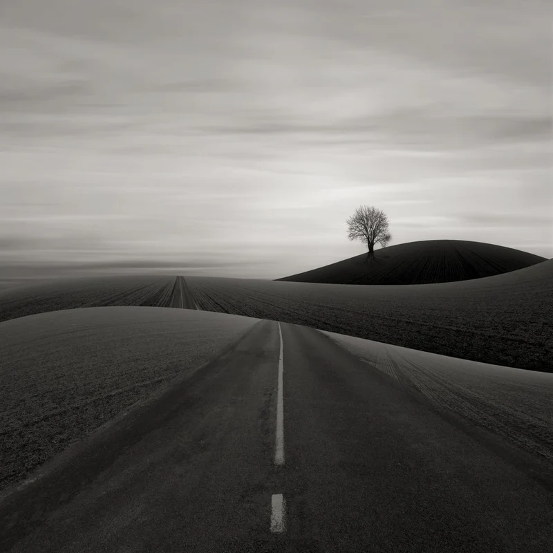 Endless Road Solitary Tree