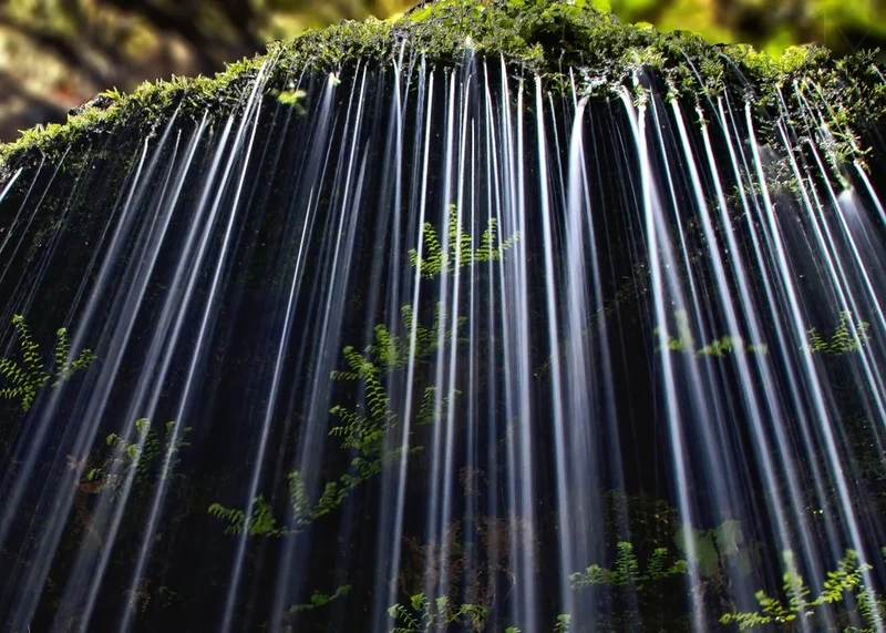 Water Streams Over Moss