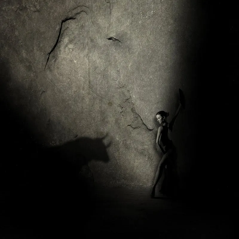 Dancing With Shadow Bull