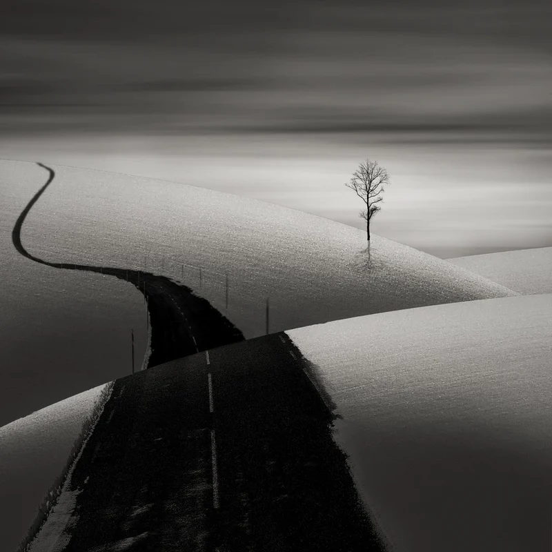 Winding Road Lone Tree