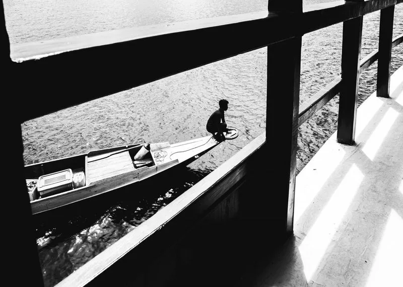 Solitary River Boatman