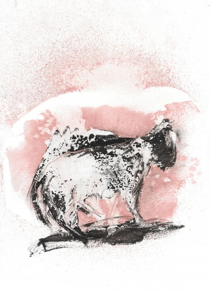 Dynamic Feline Sketch