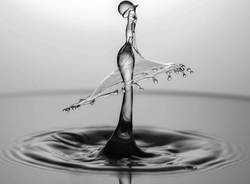 Graceful Water Sculpture