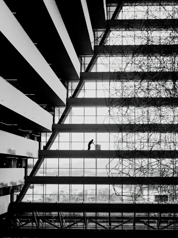 Architectural Vines Solitary Worker