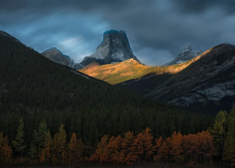 Golden Light Mountains
