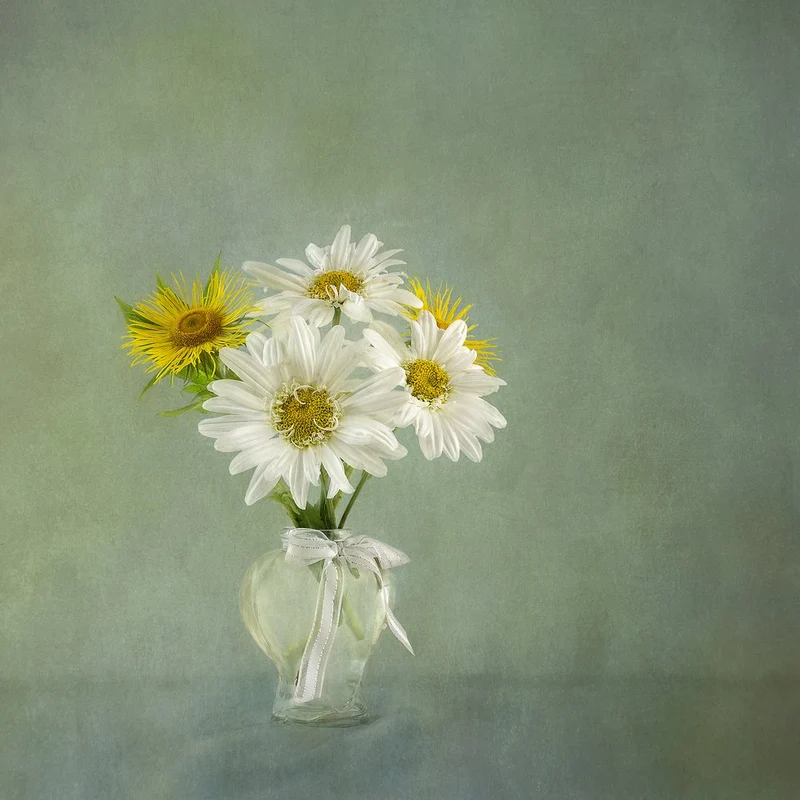 Fresh Daisy Bouquet