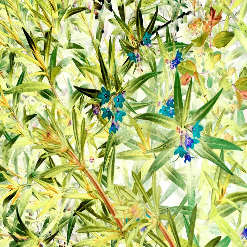 Blue Flowers in a Dynamic