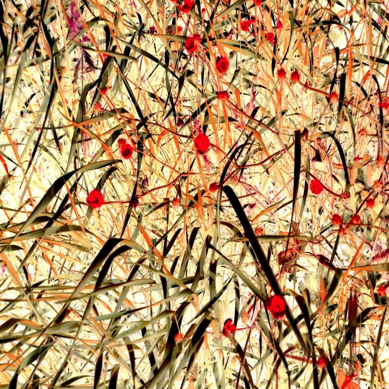 Tangled Blossom Dance