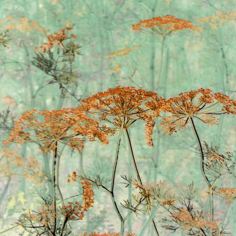 Whispers of Nature