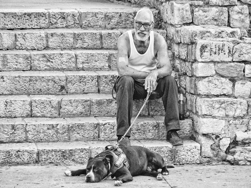 Old Man's Best Friend