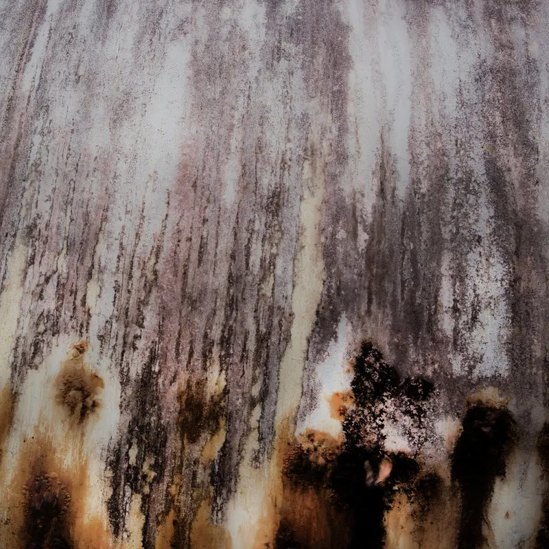 Weathered Organic Streaks