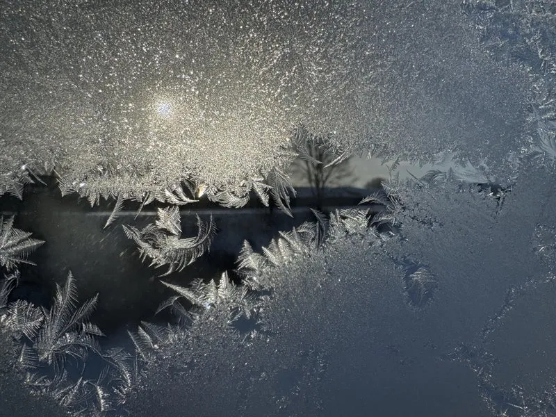 Sunlit Frost Patterns