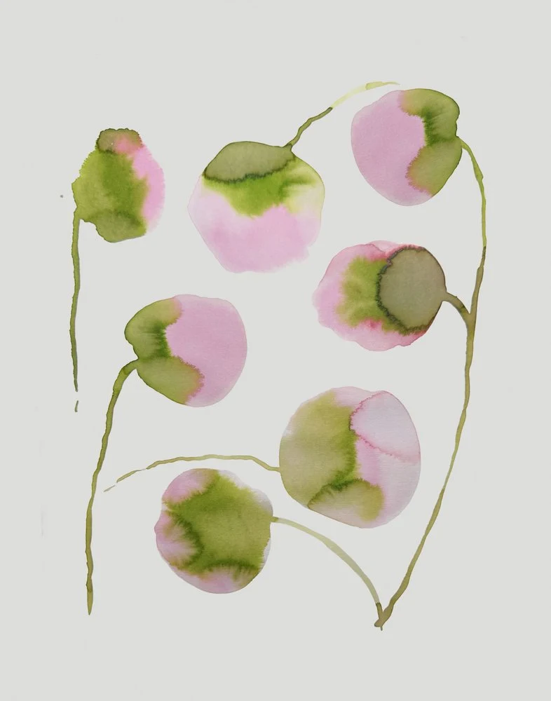 Soft Pink Blossoms