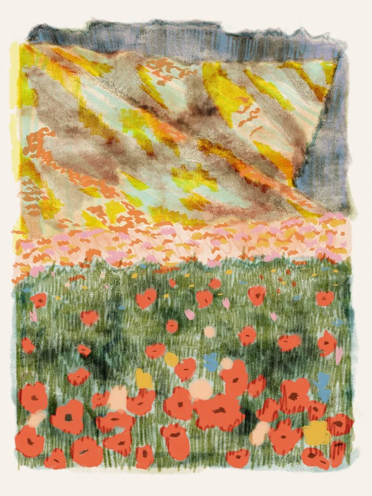 Vibrant Mountain Poppies