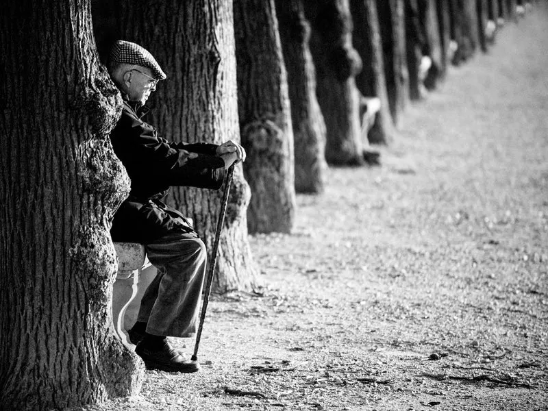 Old Man's Quiet Reflection