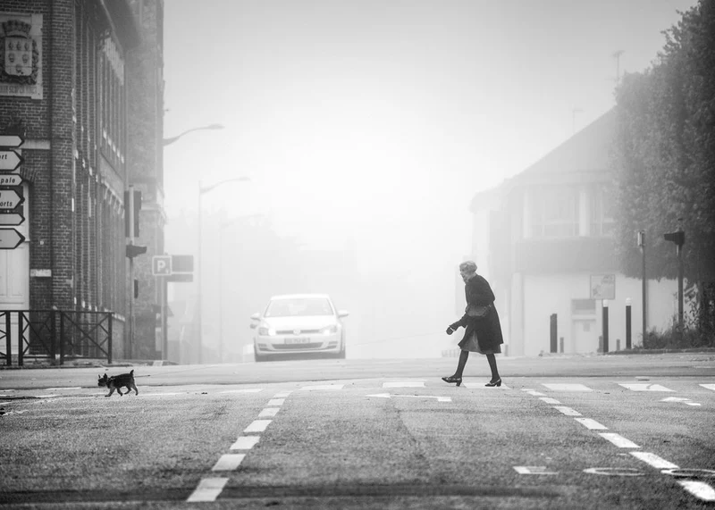 Misty Street Crossing
