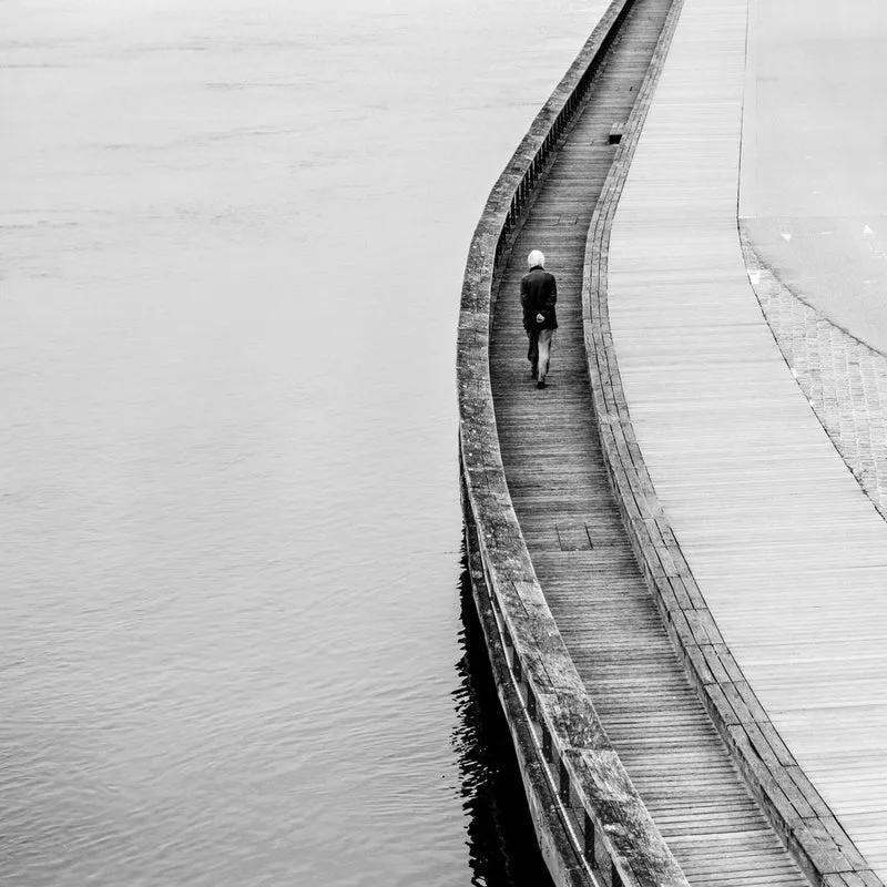 Solitary Boardwalk Path