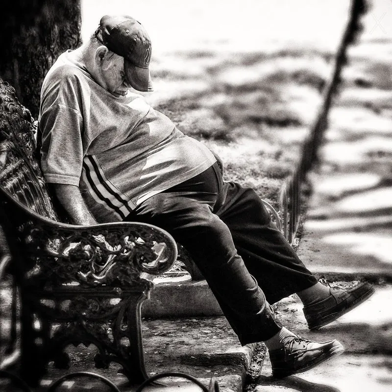 Man on Park Bench