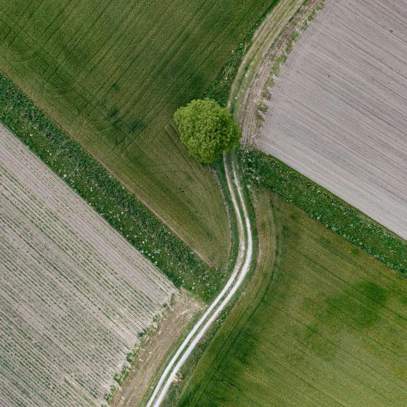 Green Fields Winding Path