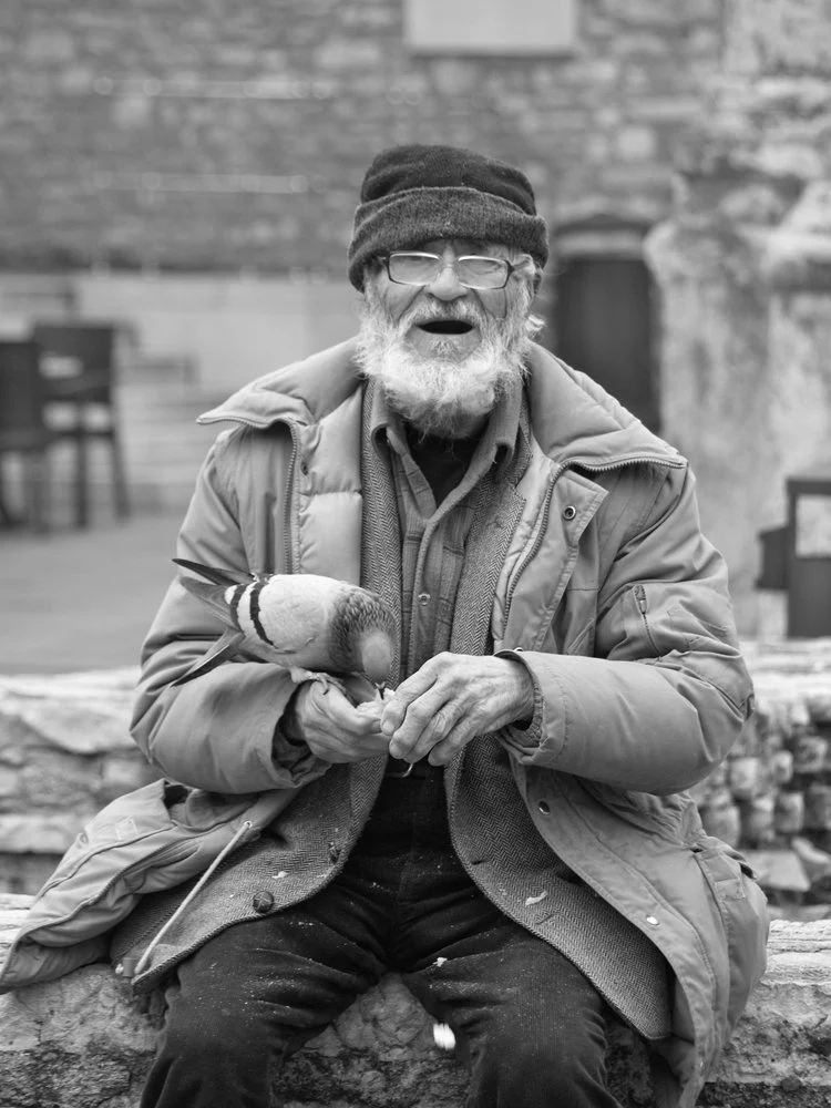 Old Man Feeds Pigeon