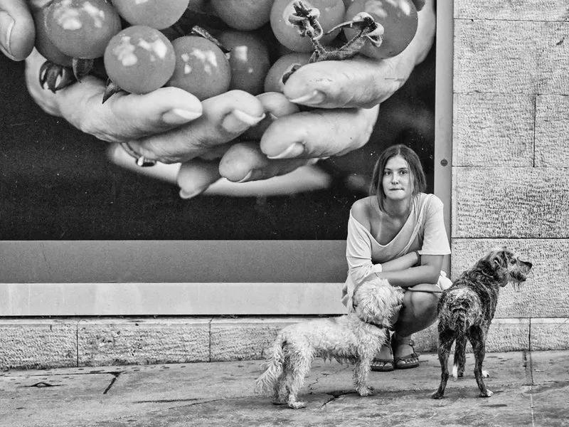 Street Life With Dogs