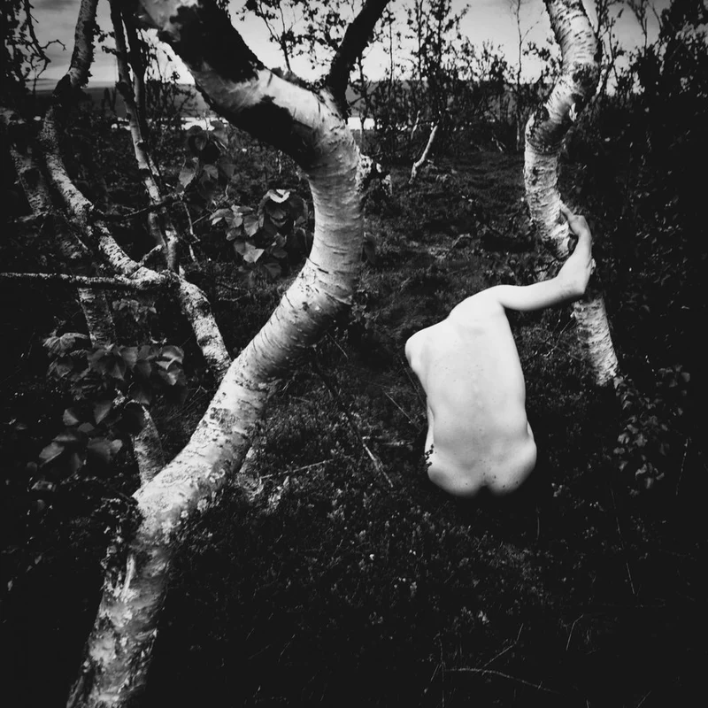 Bare Form Among Trees