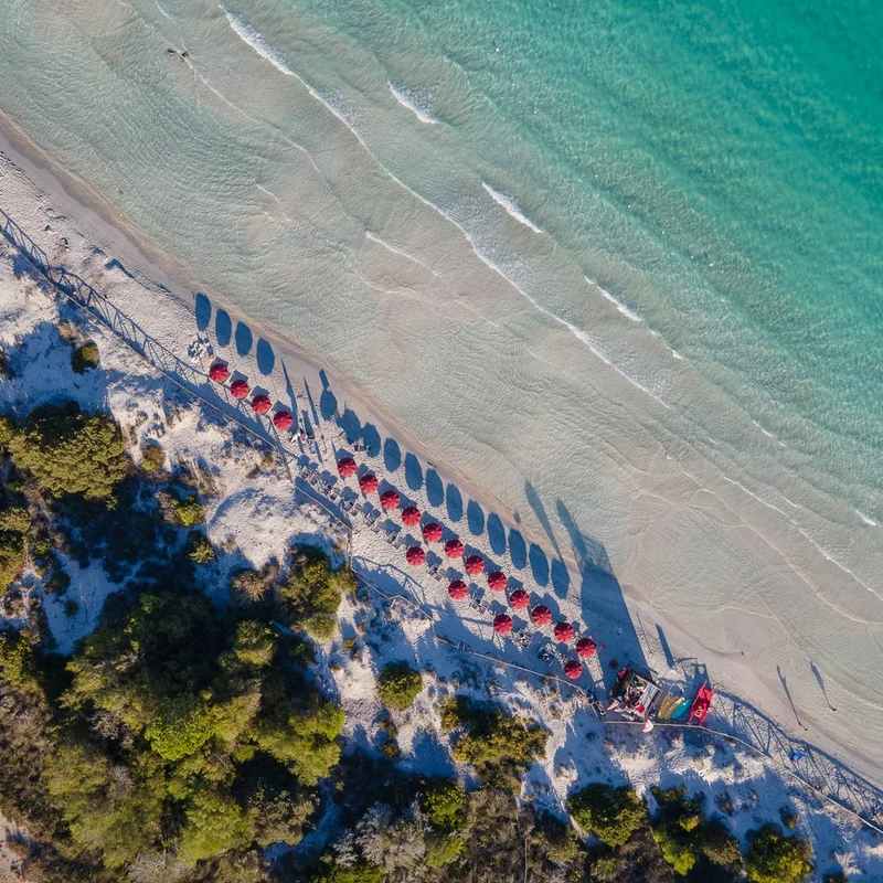 Red Umbrellas Beach Aerial