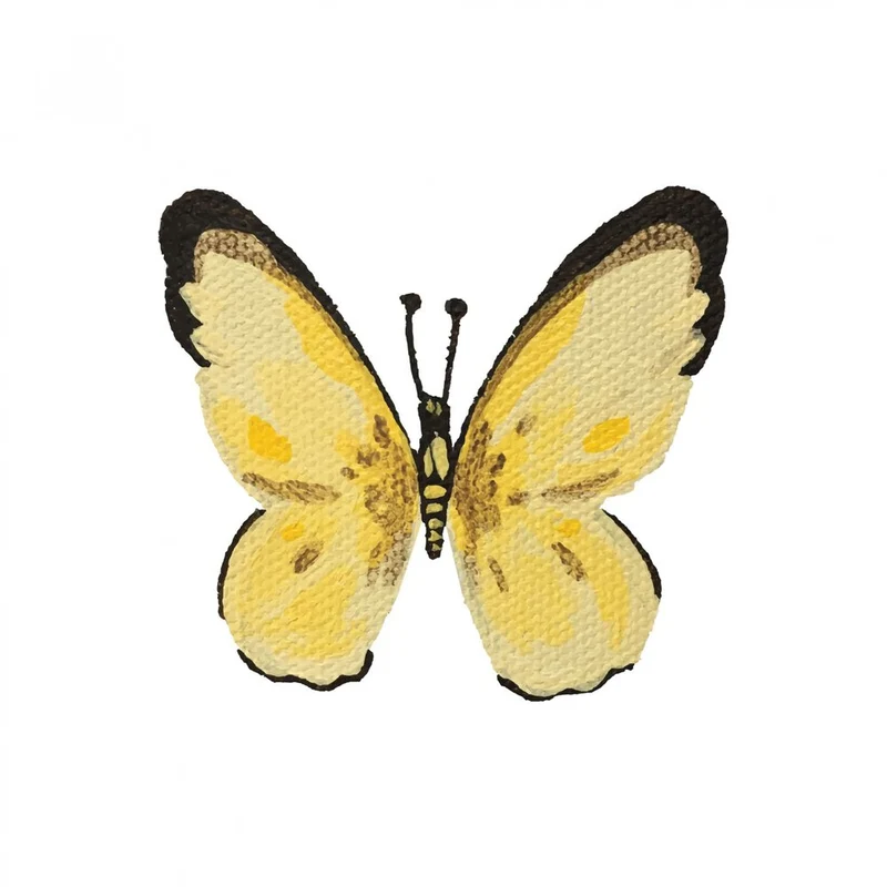 Golden Yellow Butterfly