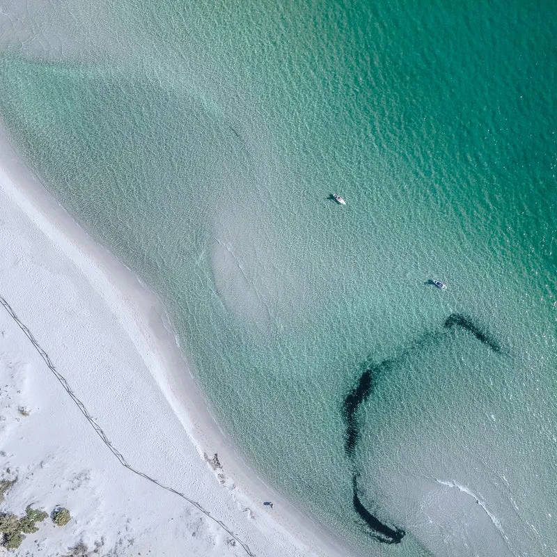 Turquoise Water Beach Paddling