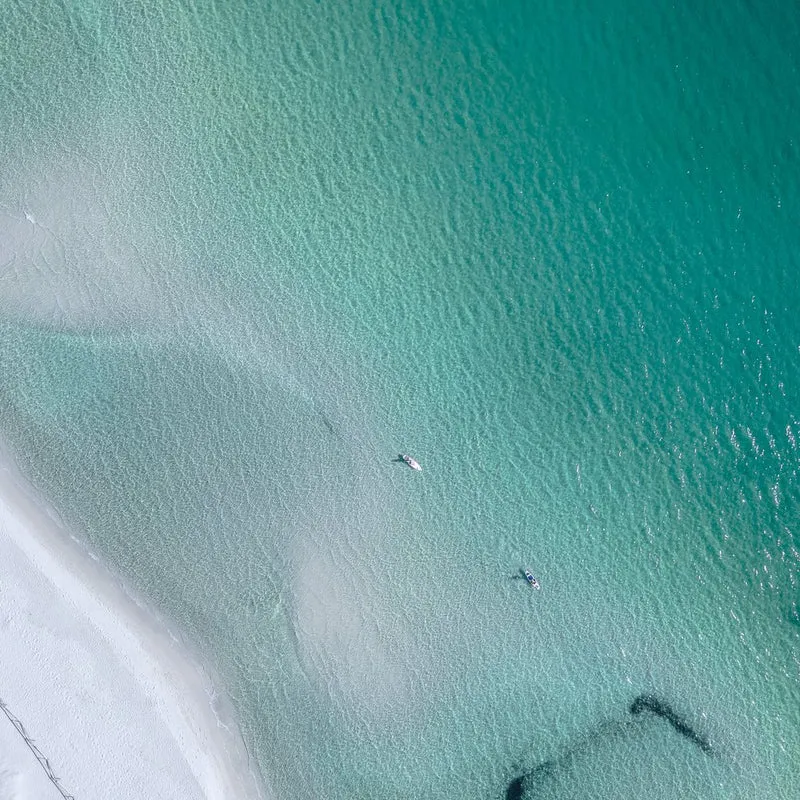 Tropical Beach Serenity