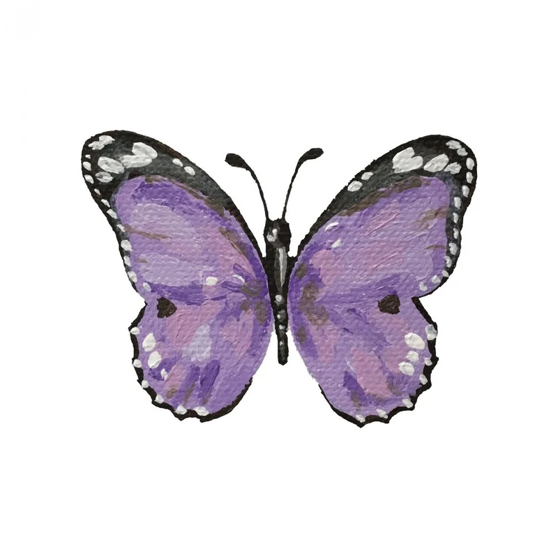 Vibrant Purple Butterfly