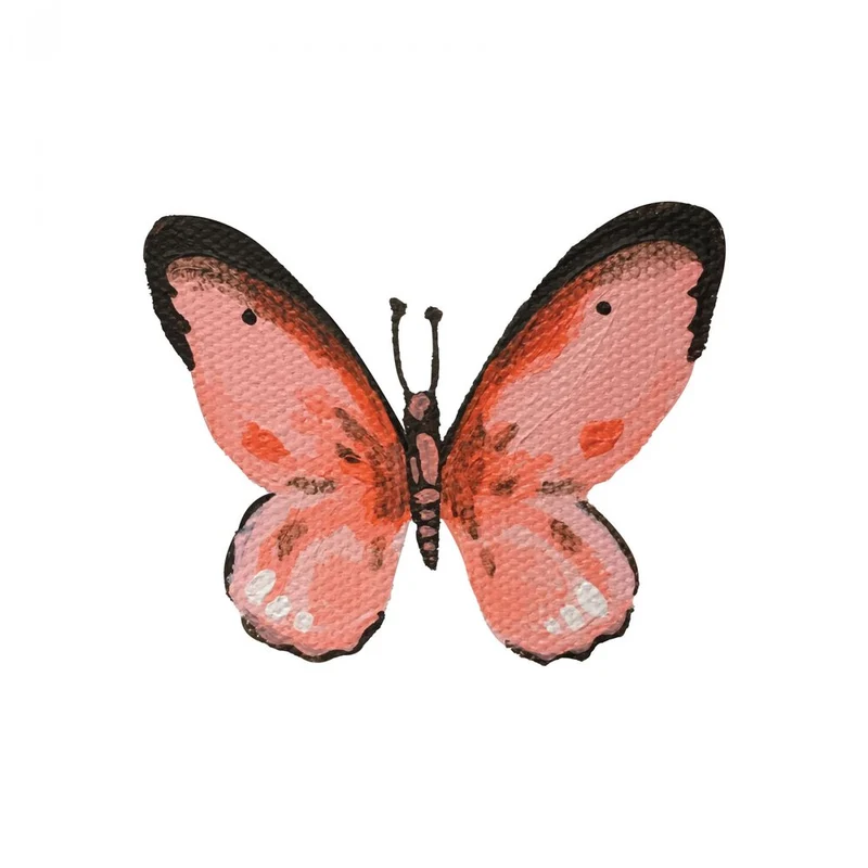 Pink Butterfly