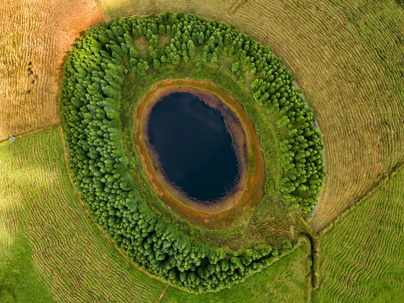 Aerial Forest Lake