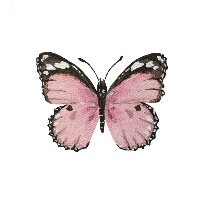 Delicate Pink Butterfly