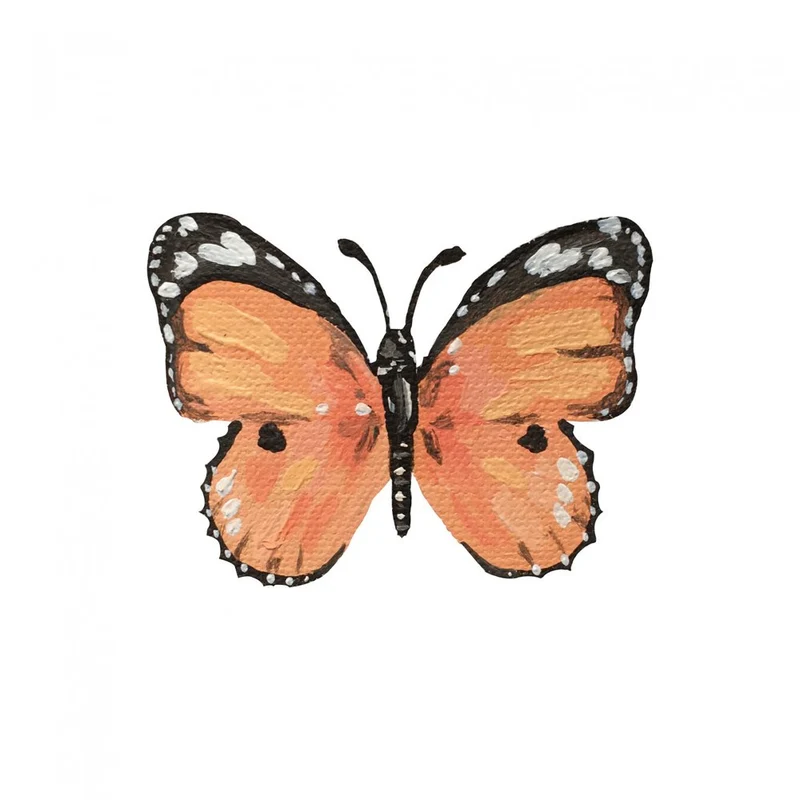 Vibrant Orange Butterfly