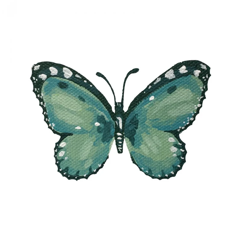 Elegant Teal Butterfly