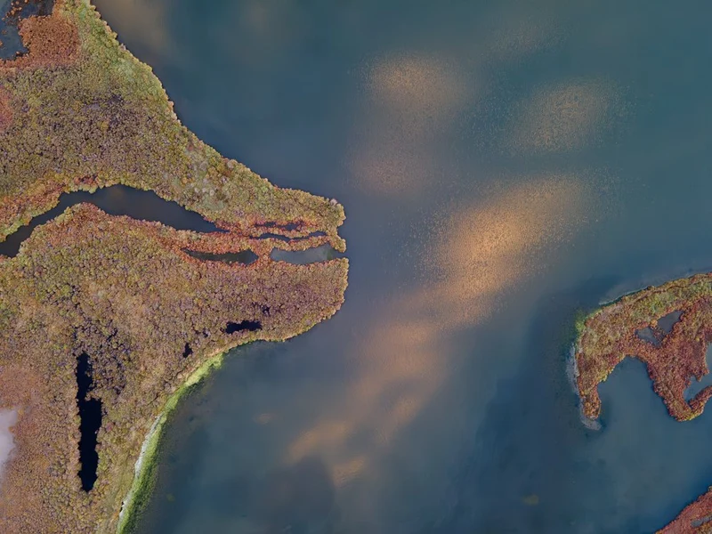 Golden Marshland Aerial
