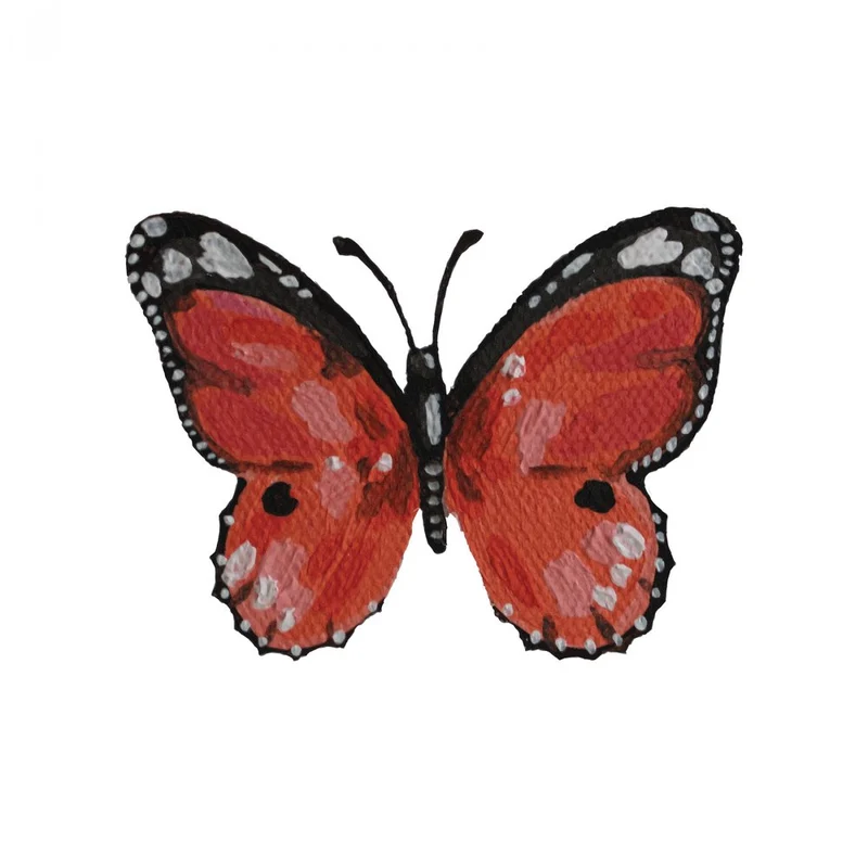 Vibrant Red Butterfly