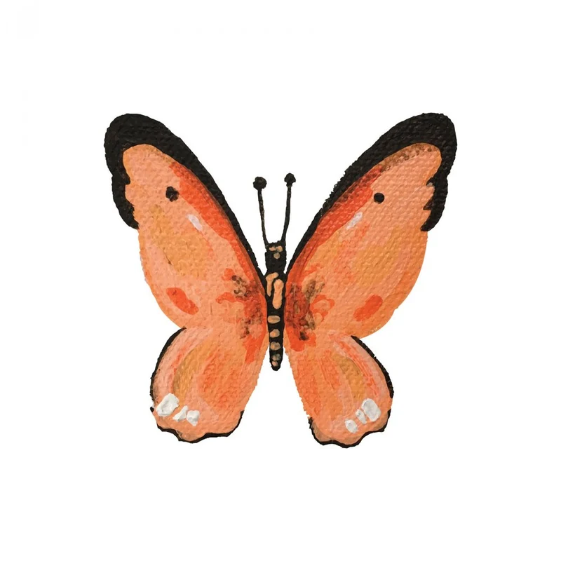 Delicate Orange Butterfly