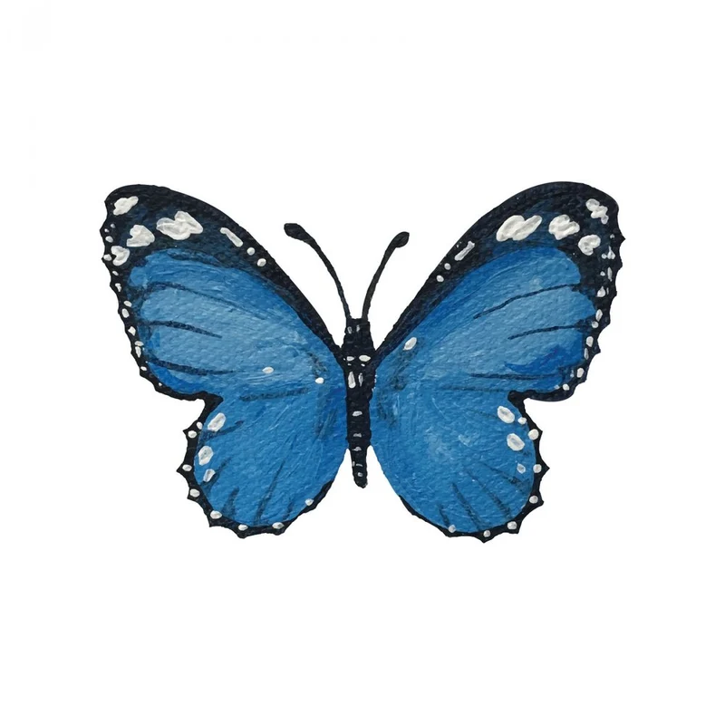 Painted Blue Butterfly