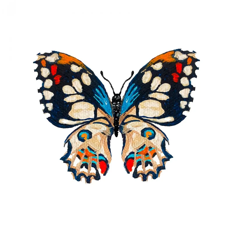 Vivid Butterfly Illustration
