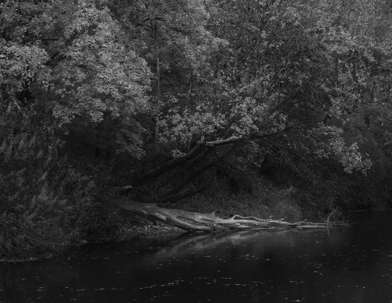 Forest River Serenity