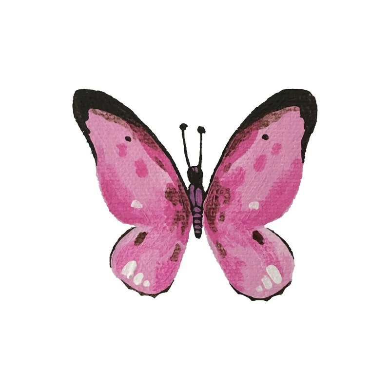 Delicate Pink Butterfly