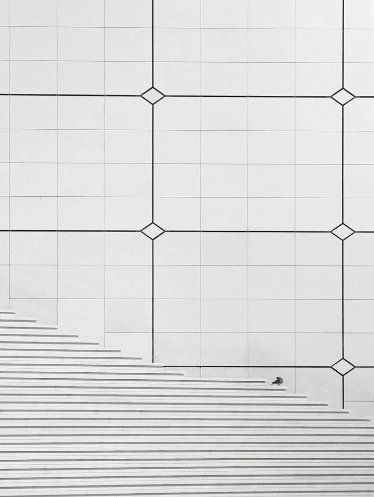 Bird on Geometric Staircase